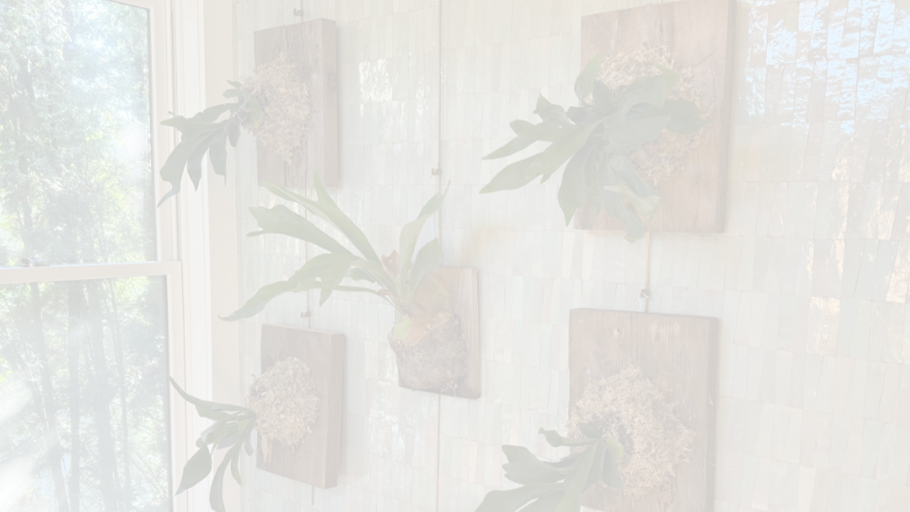 Vertical mixed media bathroom wall display