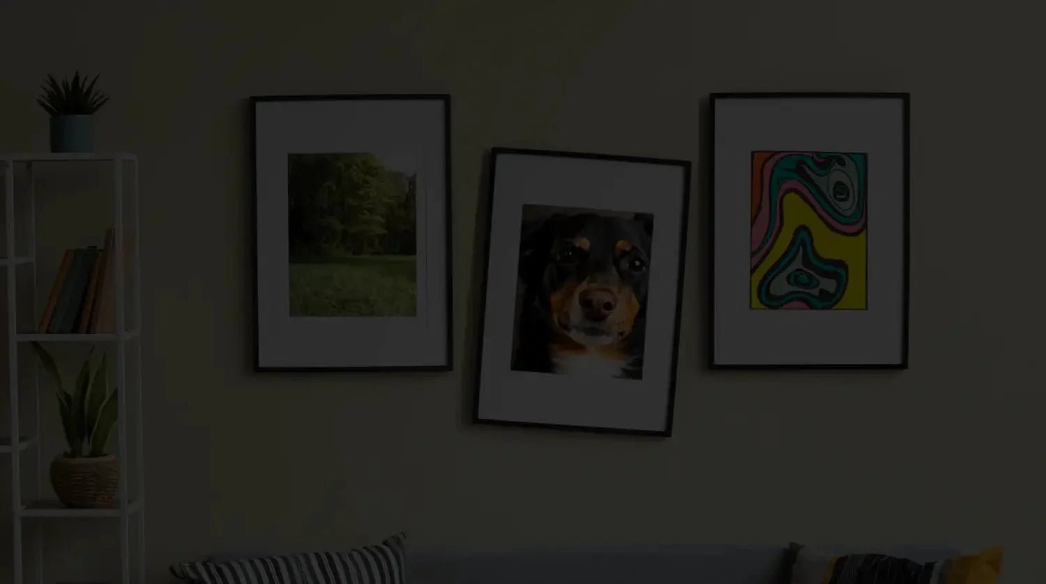 3 Fall-Proof Wall Hanging Hardware Products to Safeguard Your Treasured Pieces - Picture Hang Solutions
