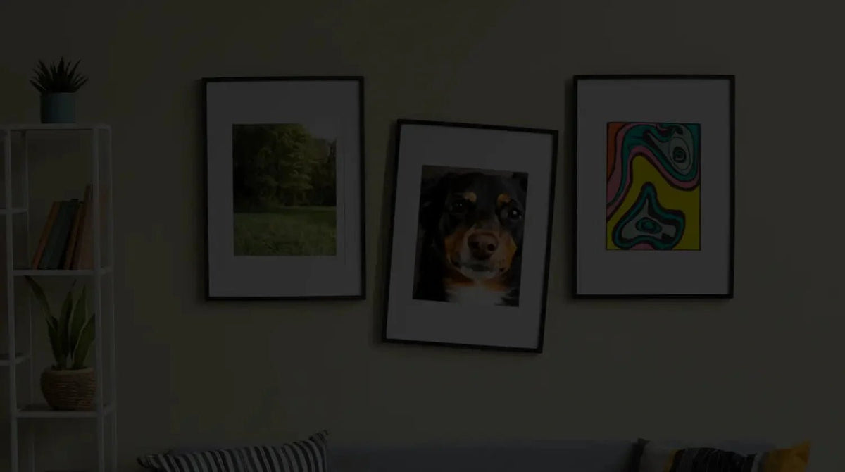 3 Fall-Proof Wall Hanging Hardware Products to Safeguard Your Treasured Pieces - Picture Hang Solutions