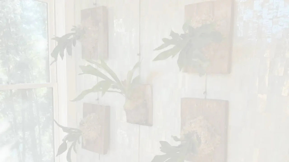 5 Creative Ways Customers Are Using Our Gallery Hanging Systems