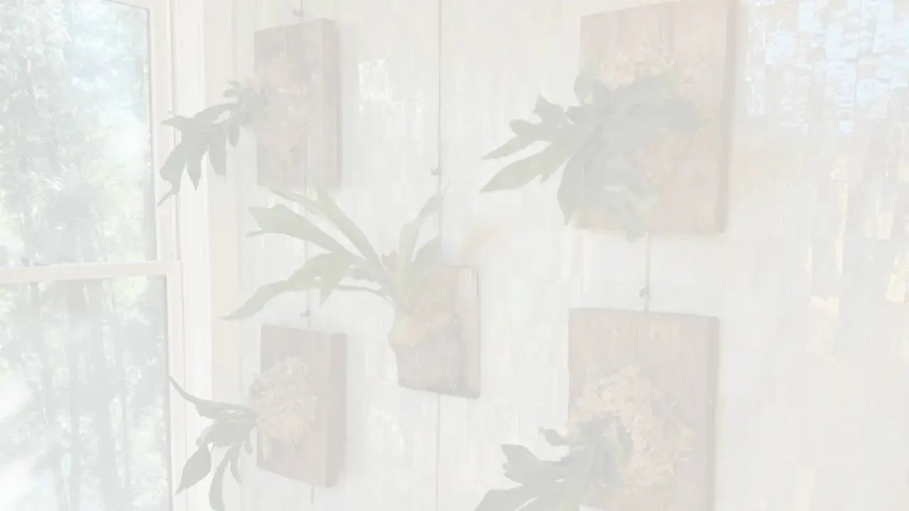 5 Creative Ways Customers Are Using Our Gallery Hanging Systems