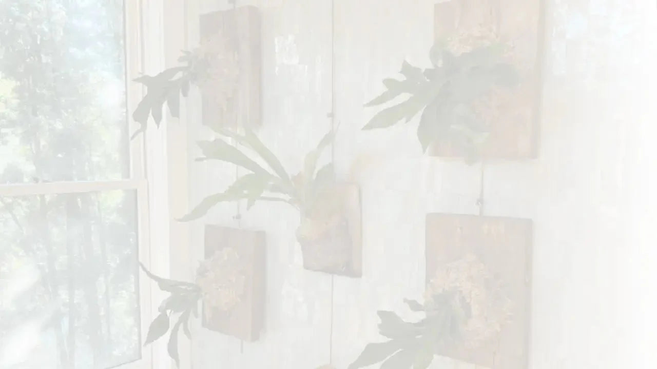 A Starter Guide to Interior Decorating