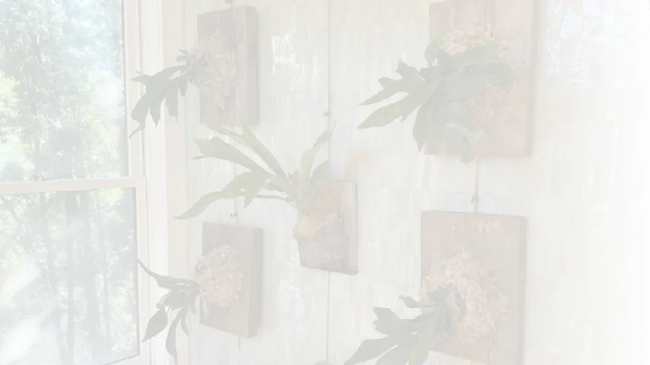 Multimedia decorations on patterned walls