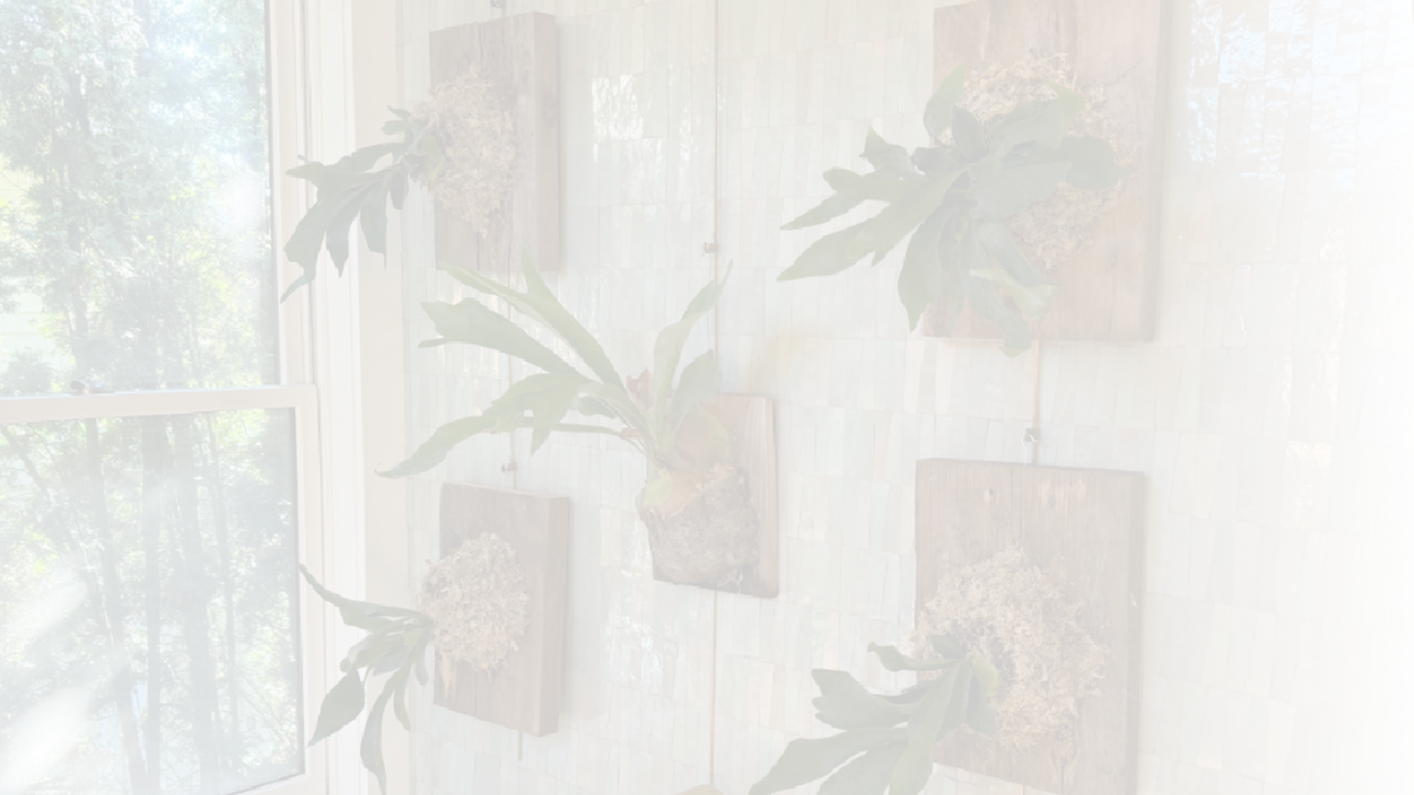 Multimedia decorations on patterned walls