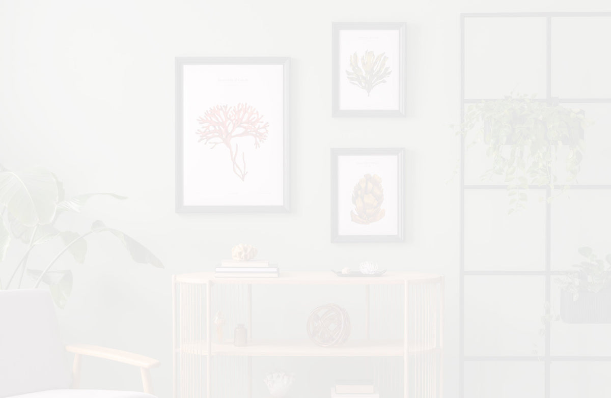 A gallery wall