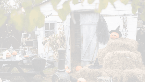 The Best Halloween Decor Ideas for 2024 - Picture Hang Solutions