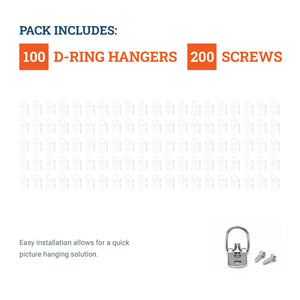 2 - Hole D - Ring - S-HWR-709X - Picture Hang Solutions