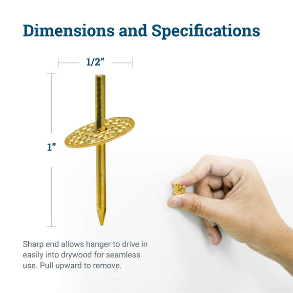 20 lb One Step Hanger Brass Finish Picture Hang Solutions