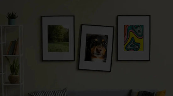 3 Fall-Proof Wall Hanging Hardware Products to Safeguard Your Treasured Pieces - Picture Hang Solutions