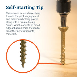 8 Star Drive Wood Screw - S-SC-8002W - Picture Hang Solutions