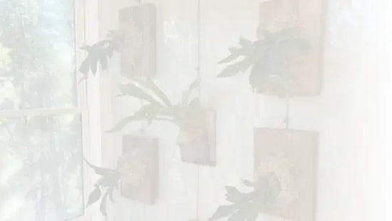 Multimedia decorations on patterned walls