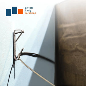 Conventional 100 lb Hook - S-HWR-2054-100X - Picture Hang Solutions