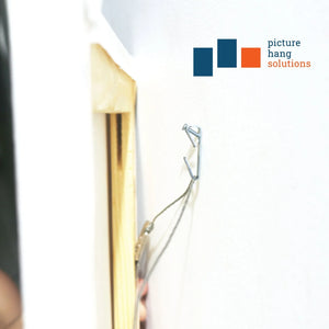 Conventional 30 lb Hook - S-HWR-2054-30X - Picture Hang Solutions