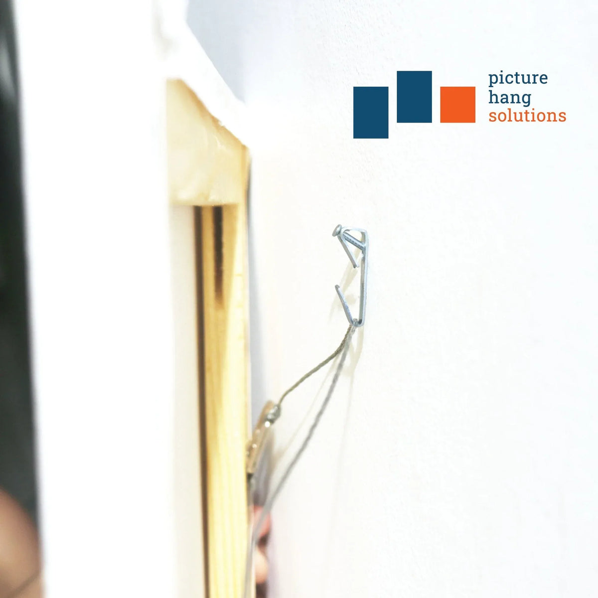 Conventional 50 lb Hook - S-HWR-2054-50X - Picture Hang Solutions