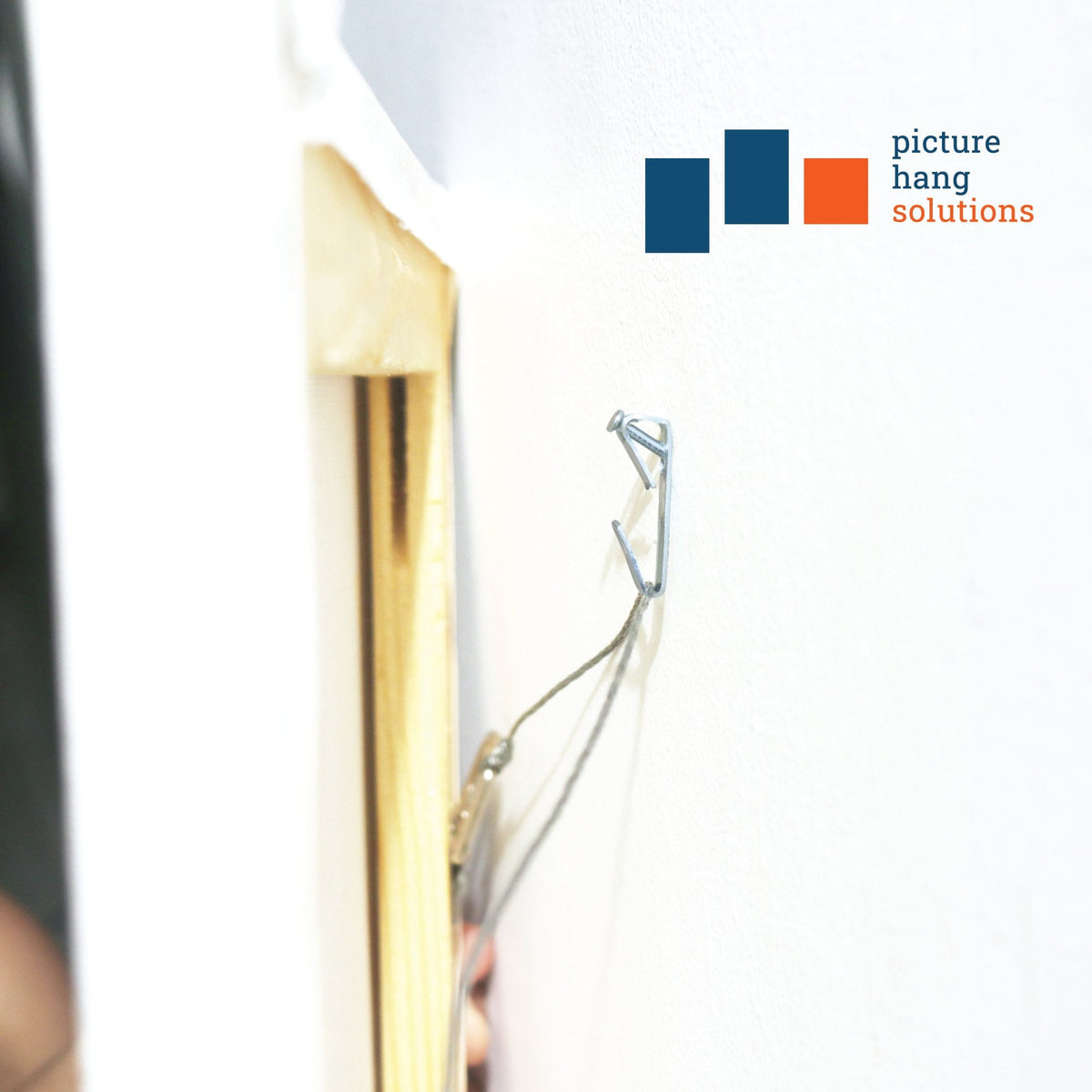 Conventional 50 lb Hook - S-HWR-2054-50X - Picture Hang Solutions