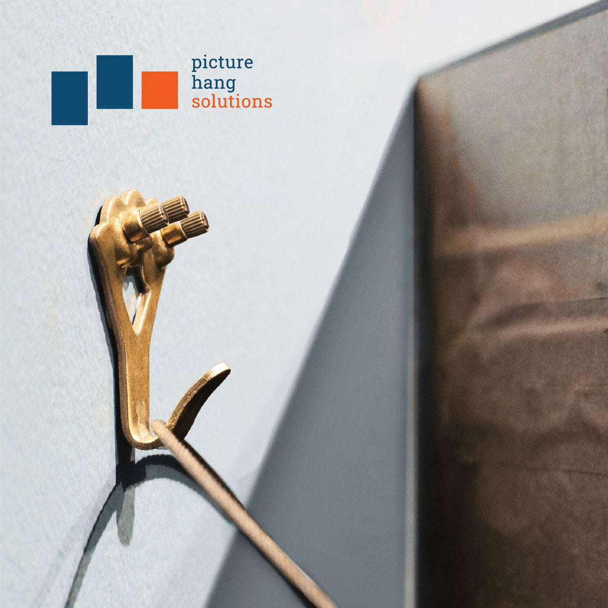 Courtesy Brass 100 lb Hook - S-BCH-100M - Picture Hang Solutions