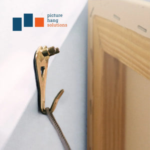 Courtesy Brass 50 lb Hook - S-BCH-50M - Picture Hang Solutions