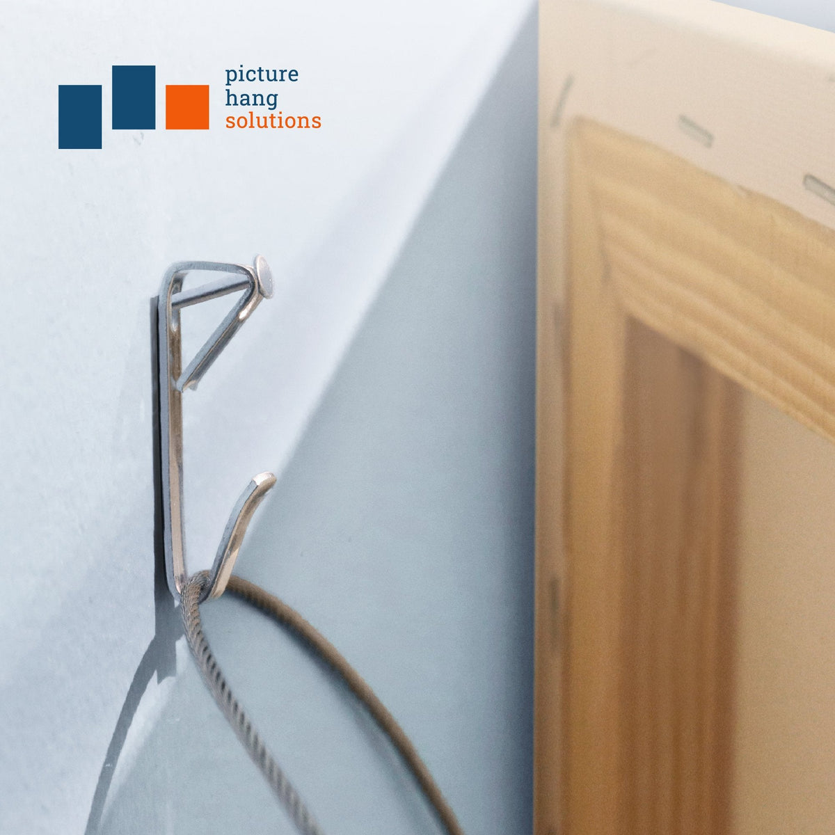 Courtesy Nickel 100 lb Hook - S-NCH-100X - Picture Hang Solutions