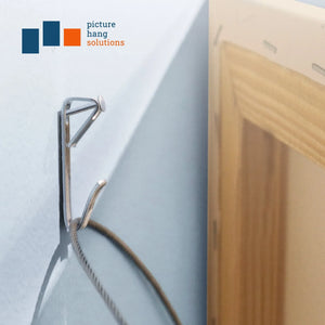 Courtesy Nickel 30 lb Hook - S-NCH-30X - Picture Hang Solutions