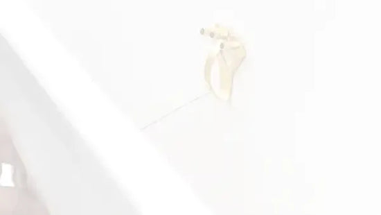 Everything You Need to Know About Wall Hooks - Picture Hang Solutions