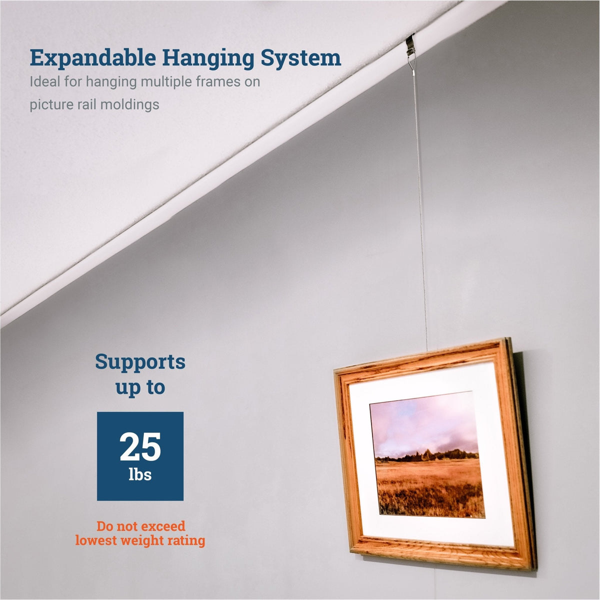 Gallery Kit with Silver Picture Rail Hooks - S-GSK-Z44 - Picture Hang Solutions