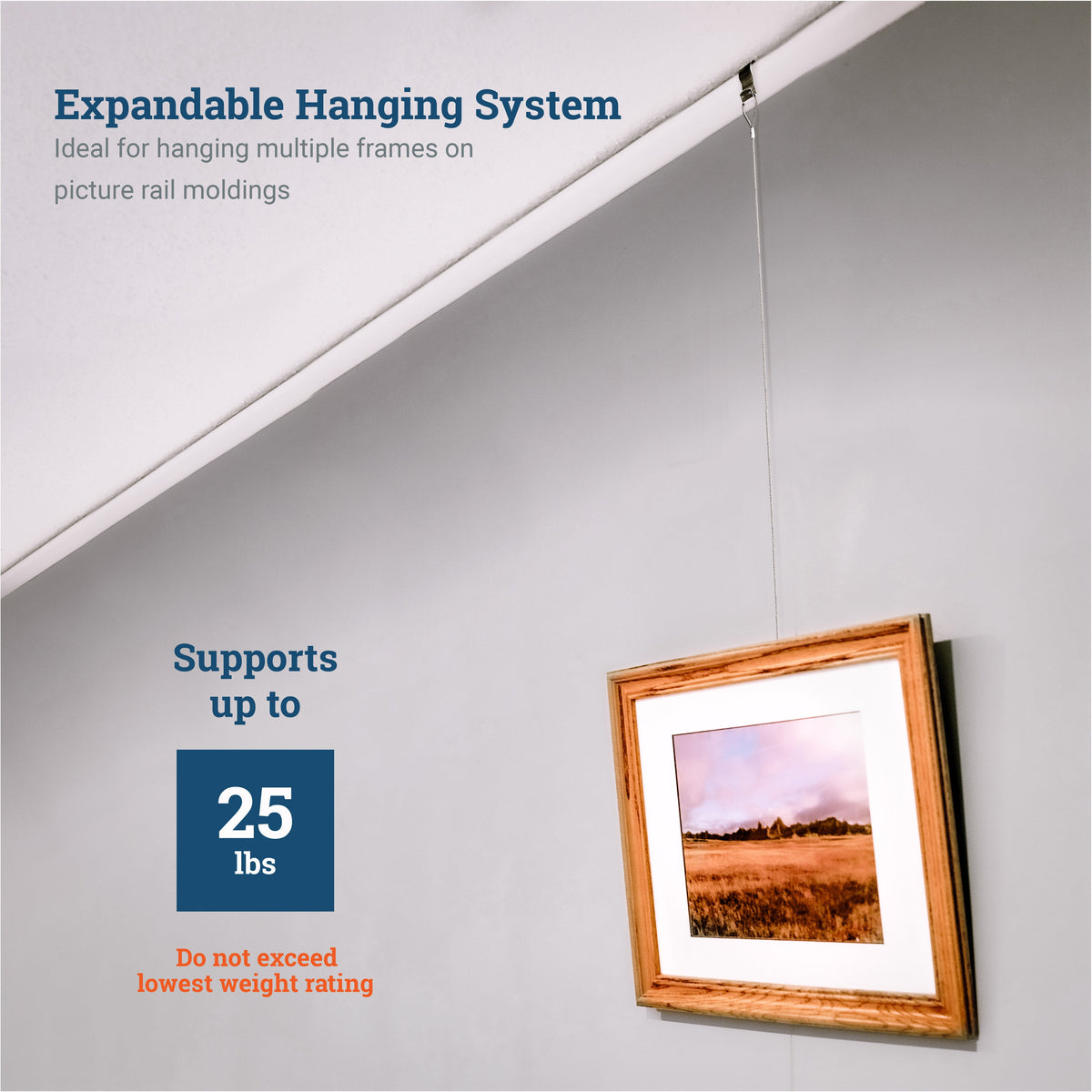 Gallery Kit with Silver Picture Rail Hooks