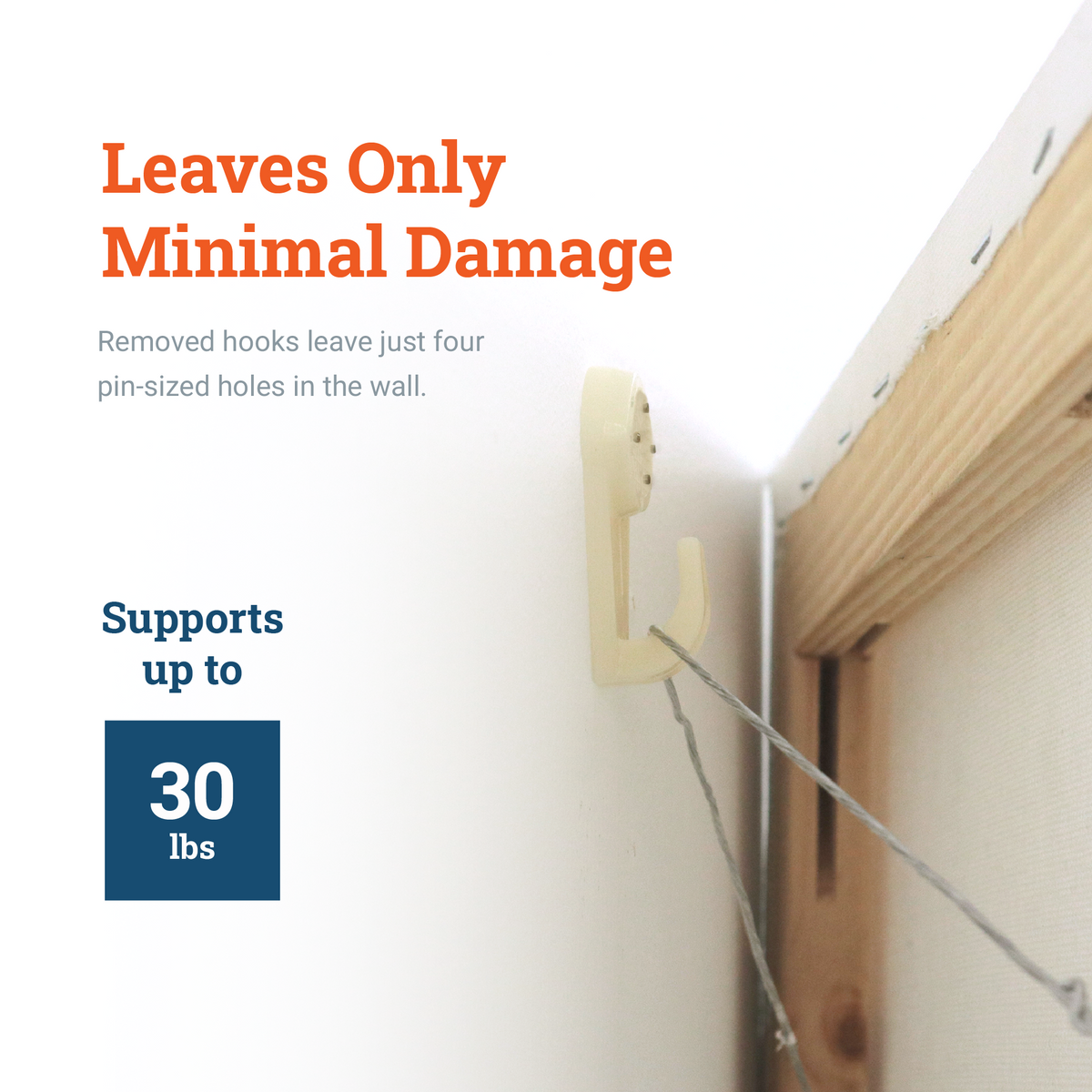 Hardwall Plastic Hook Large and Supports 39 Lbs Picture Hang