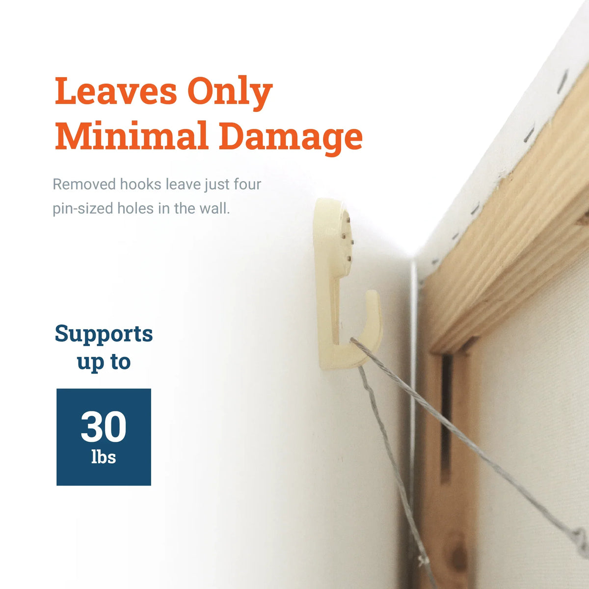 Hardwall Plastic Hook Large - S-HWR-208X - Picture Hang Solutions