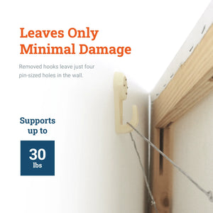 Hardwall Plastic Hook Large - S-HWR-208X - Picture Hang Solutions