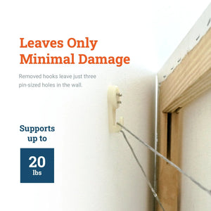 Hardwall Plastic Hook Small - S-HWR-209X - Picture Hang Solutions