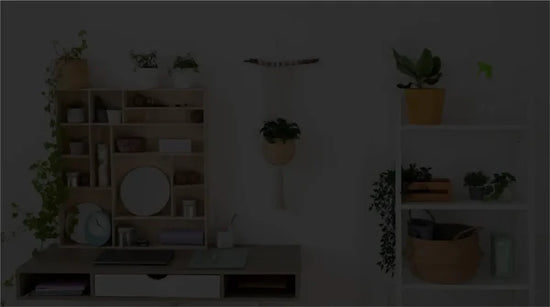 A Beginner’s Guide to Using Wall Anchors