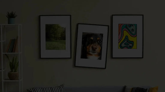 3 Fall-Proof Wall Hanging Hardware Products to Safeguard Your Treasured Pieces - Picture Hang Solutions