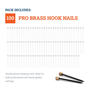 Pro Brass Hook Nails - 100 Pack - S-BH-PRONAIL - Picture Hang Solutions