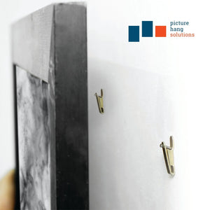 Replacement Hook/Nail Pair for Small or Metal Wall Buddies - S-WB-HOOKSM - Picture Hang Solutions