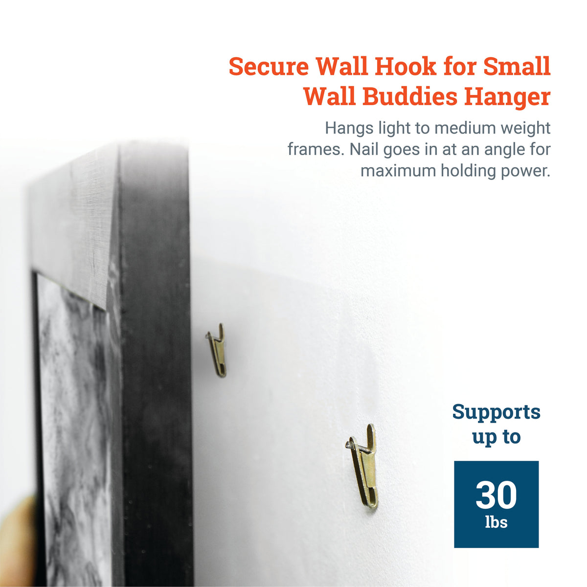 Replacement Hook/Nail Pair for Small or Metal Wall Buddies