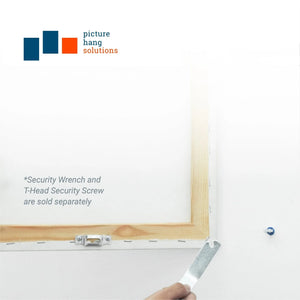 Security Mounting Plate for T - Head Screw - S-SEC-14M - Picture Hang Solutions