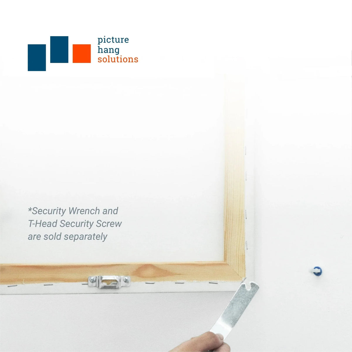 Security Mounting Plate for T - Head Screw - S-SEC-14M - Picture Hang Solutions