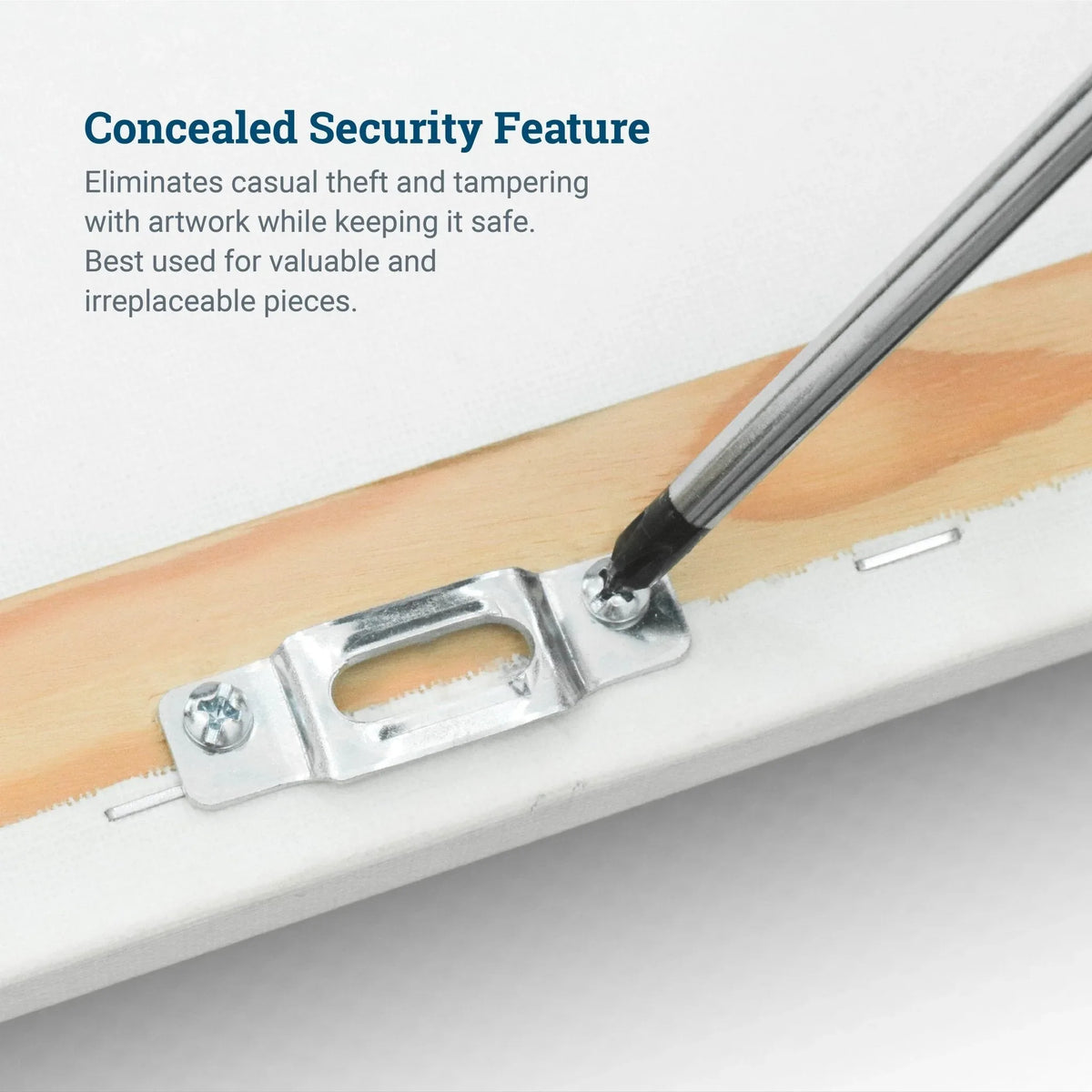 Security Mounting Plate for T - Head Screw - S-SEC-14M - Picture Hang Solutions