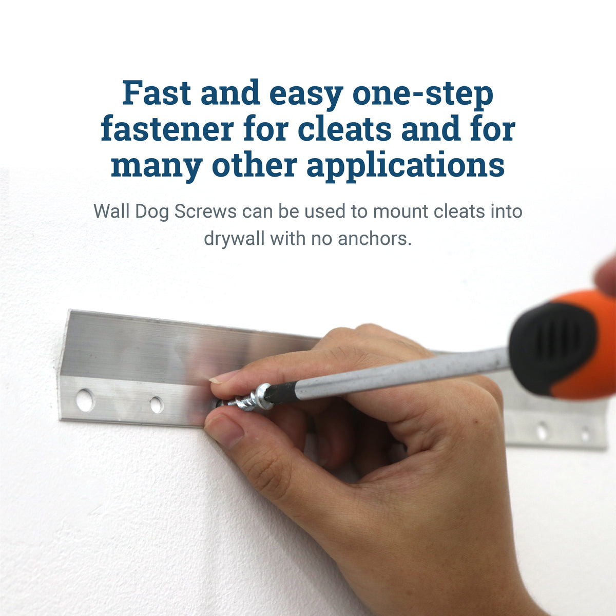 Wall Dog Screws - Best Wall Screws for Drywall Plaster