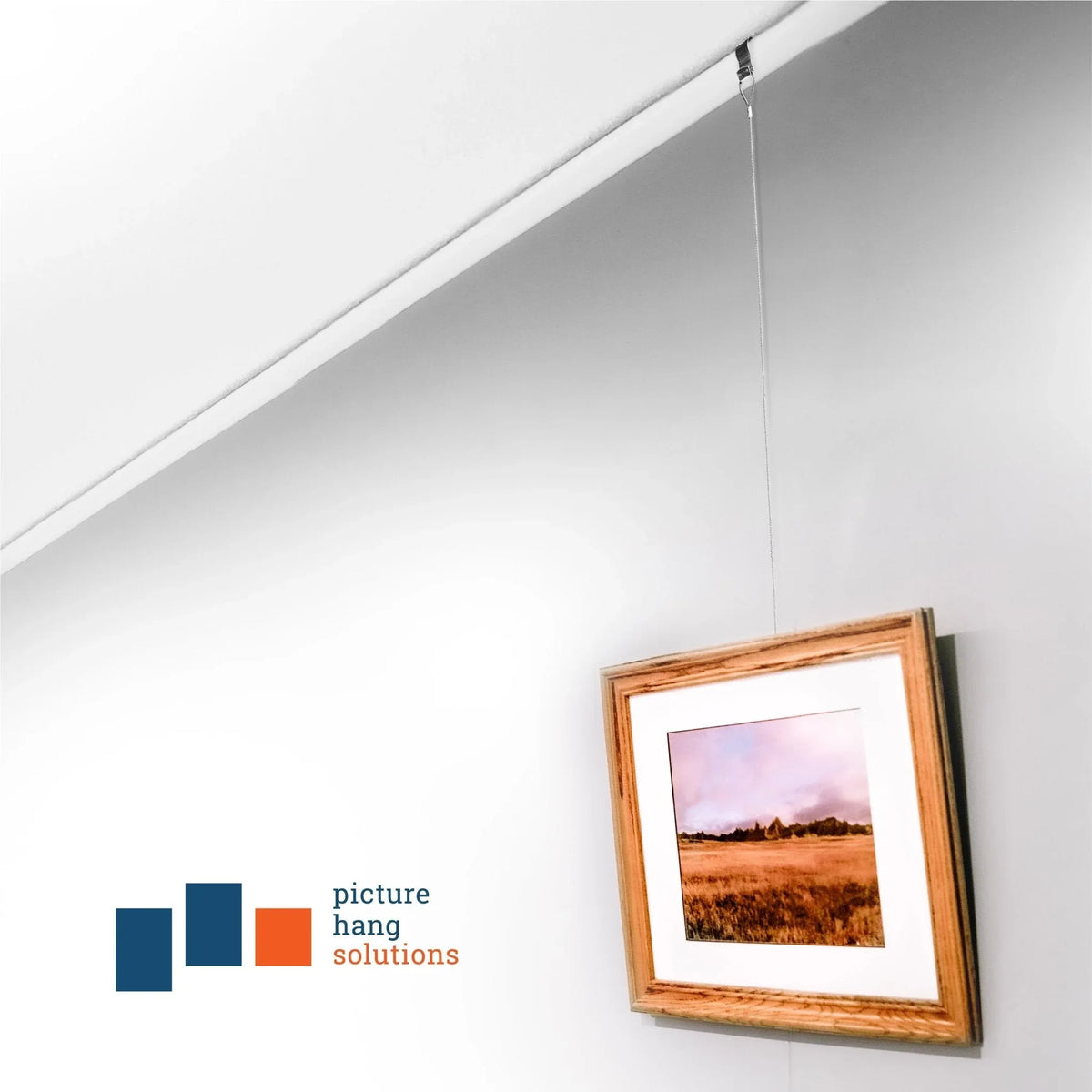 Wide Picture Rail Hook Zinc/Silver - S-HWR-2220X - Picture Hang Solutions